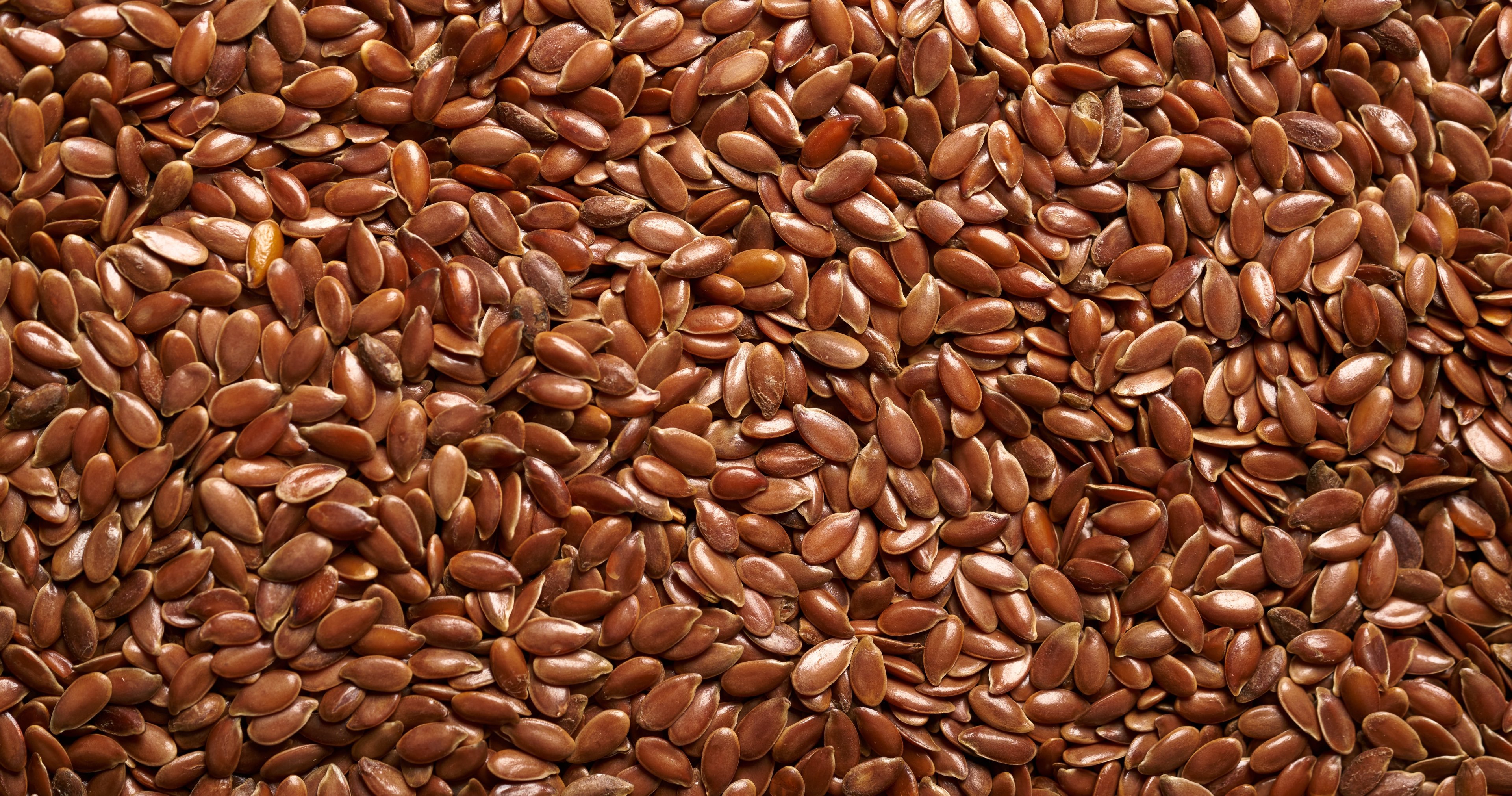 Brown Flax Seeds