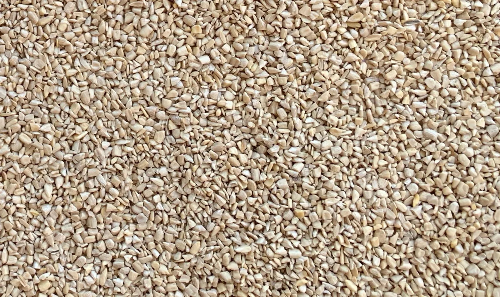 Sunflower Kernel Chips