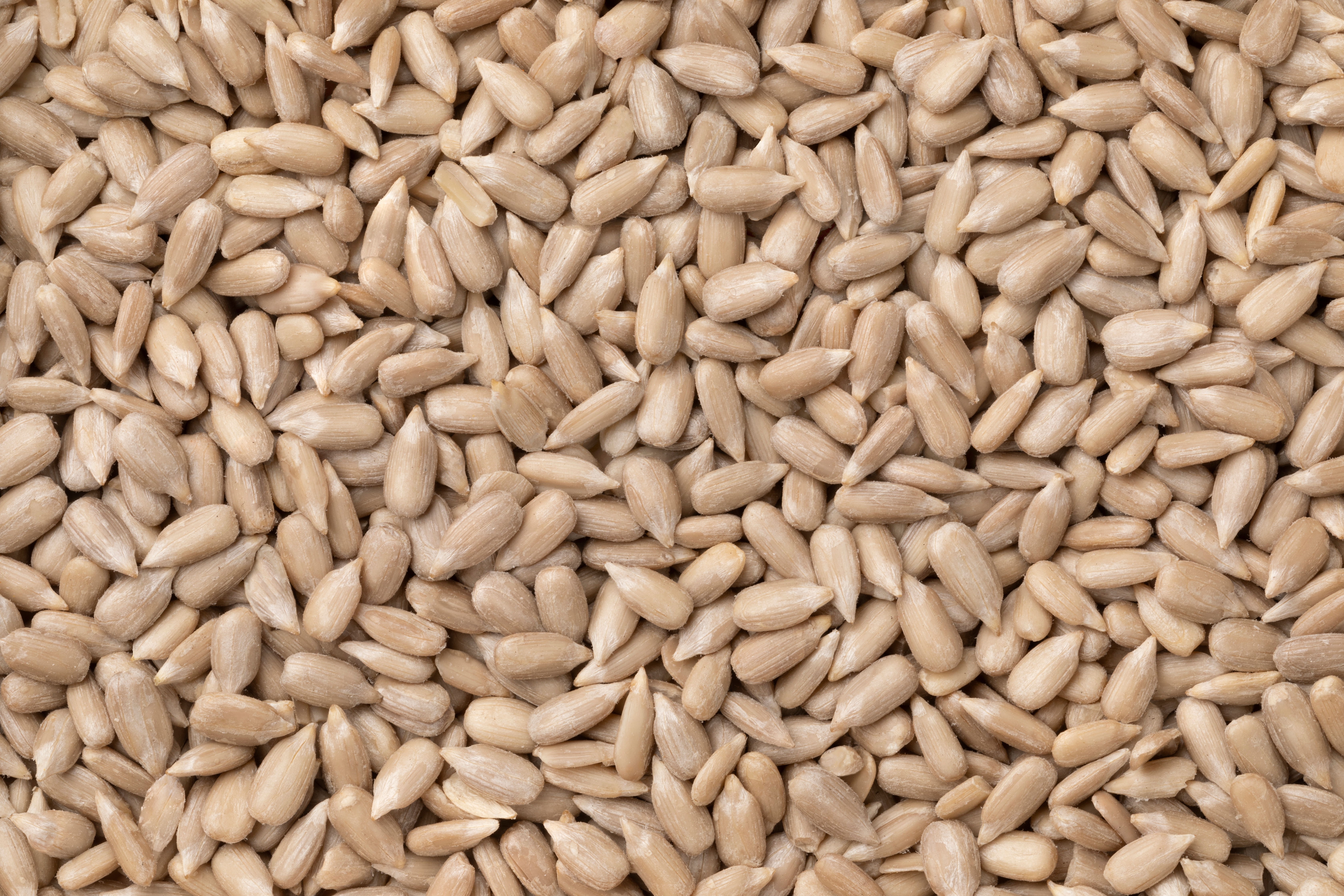Confectionery Grade Kernels