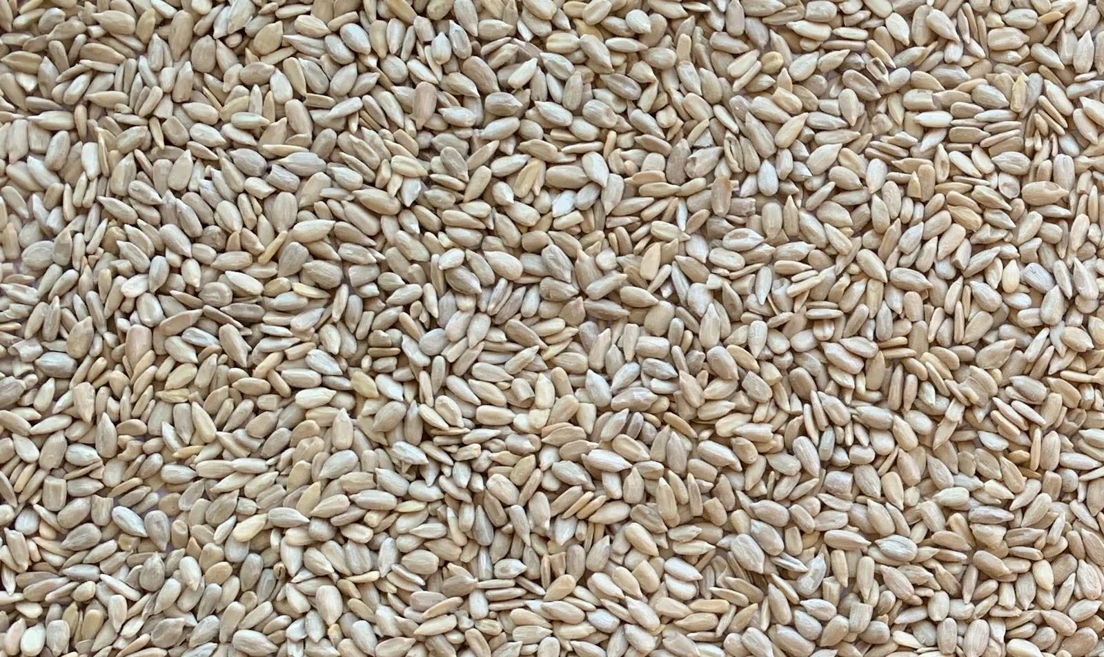 Bakery Grade Kernels